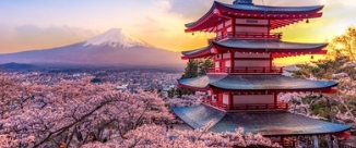 London to Tokyo