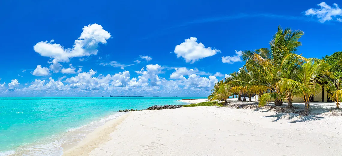 The Caribbean